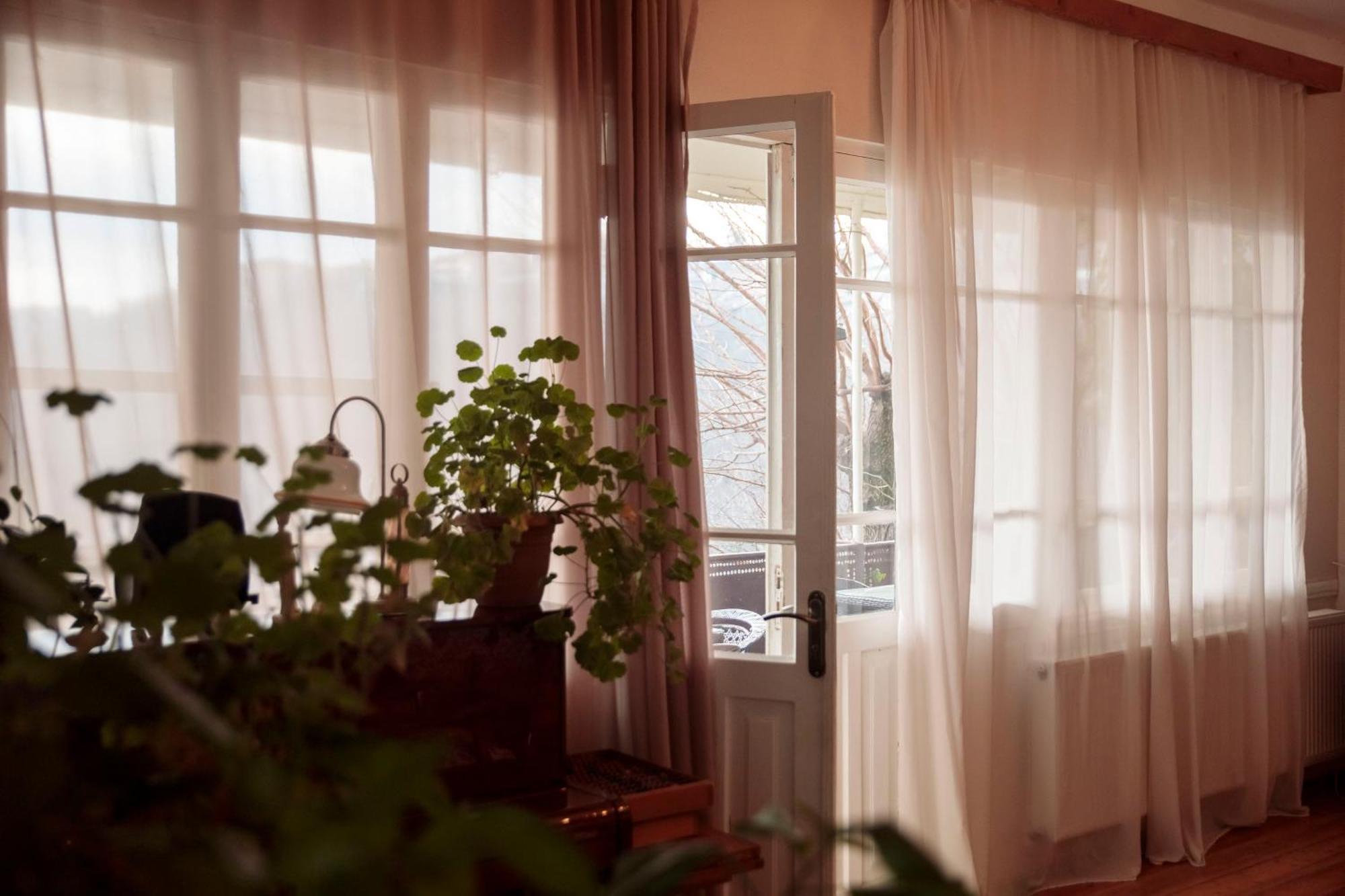 Tuta House Sighnaghi Hotell Exteriör bild